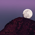Lunar Vision